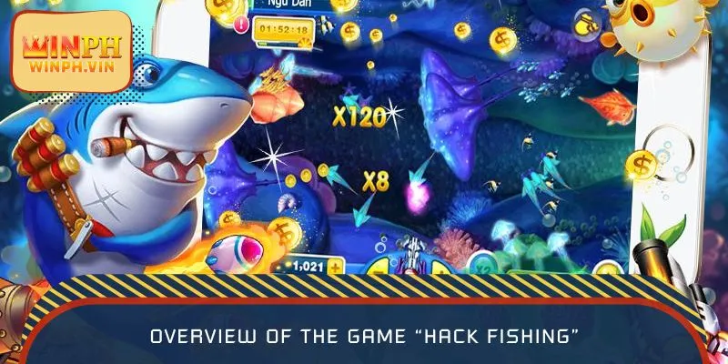 Overview of the game “Hack Fishing”